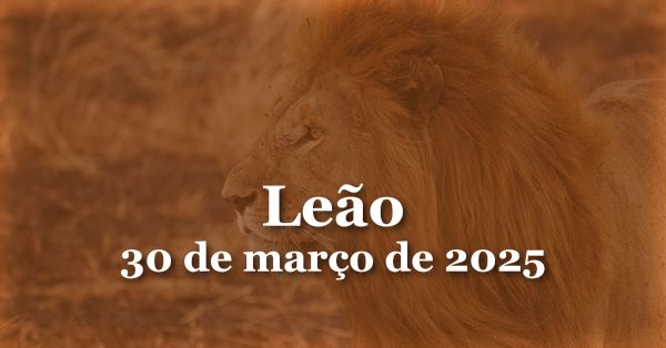 Leão_2025-03-20T18-25-25-103Z