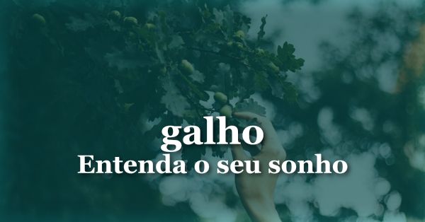O que significa sonhar com Galho?