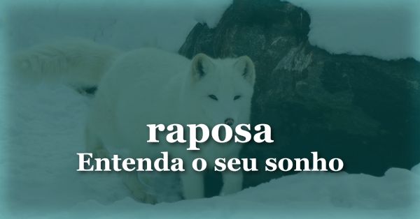 O que significa sonhar com Raposa?