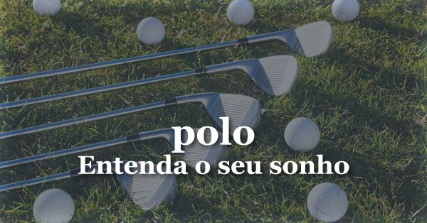 O que significa sonhar com Polo?