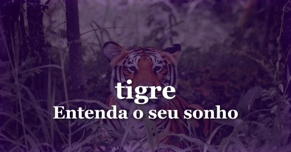 O que significa sonhar com Tigre?